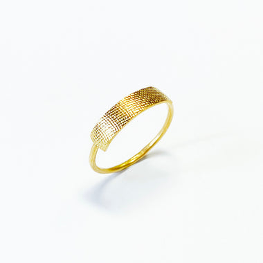 ring 01-001