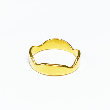 ring 01-010