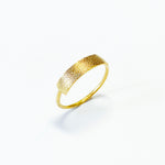 ring 01-001